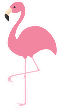 Pink Flamingo